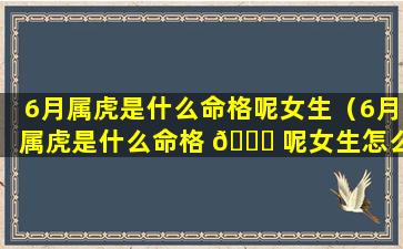 6月属虎是什么命格呢女生（6月属虎是什么命格 🐅 呢女生怎么样）